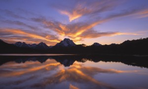 澳大利亞嬰兒奶粉真的比其他品牌更優質嗎？