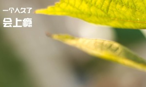 異界深淵：大靈王新手怎么玩？新手快速入門攻略