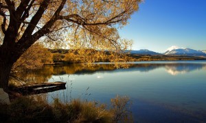 懷孕喝孕婦奶粉會長胖嗎？如何科學選擇和合理攝入？