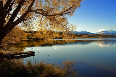 十大熱門純電動(dòng)汽車_電動(dòng)汽車排名_最好的新能源純電動(dòng)車