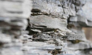 岳普湖縣2025年中央義務教育薄弱環節改善與能力提升補助項目的終止公告