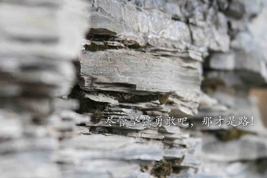 MIYAMIYA.咪吖咪呀品牌_咪吖咪呀牌子口碑_MIYAMIYA實力檔次排名