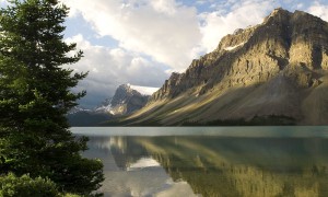 孕婦奶粉能空腹喝嗎？——關(guān)于孕婦奶粉飲用的全面解析