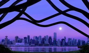 駱駝奶粉專賣店：駱駝奶粉真的比牛奶粉更有營養(yǎng)嗎？