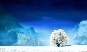 三元奶粉怎么樣？——深度解析與用戶反饋