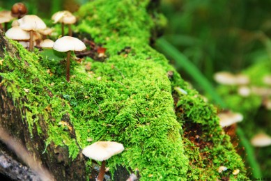 三亞哪里好玩的景點(diǎn)推薦？三亞旅游十大必去景點(diǎn)