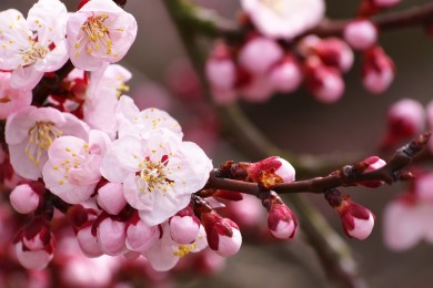 沈陽十大祈福圣地_沈陽燒香拜佛適合去哪里_沈陽燒香許愿的地方