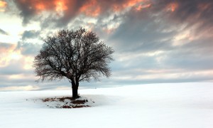 嬰兒奶粉成人能喝嗎？對成年人健康的影響及選擇建議