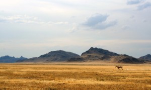 奶粉哪段營養最高？這是一個值得探討的問題嗎？