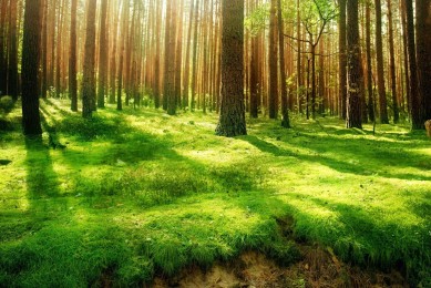 牛批了，小學生作品，值得一試