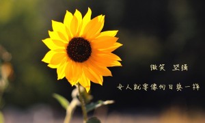 雙錐臥式螺帶料斗混合機(jī)的性能優(yōu)勢(shì)都有哪些