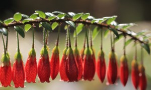 用母嬰店的奶粉可靠嗎？如何確保寶寶的食品安全？