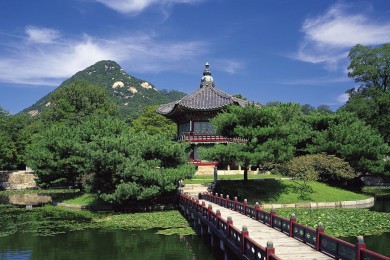 滿清十大酷刑在線觀看完整版，究竟是否值得一看？