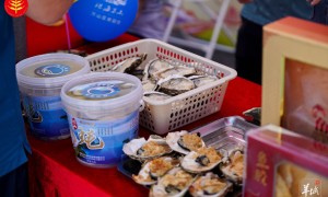 珠港澳三地漁民同慶豐收，“媒體+”引領現代農業“特區路徑”