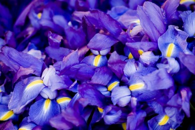 碎紙機質(zhì)量優(yōu)秀的幾大品牌_什么牌子的碎紙機好？