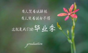 2025-2030年中國小型攝像機行業重點企業發展分析及投資前景可行性評估報告告