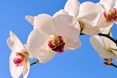 2025年福布斯亞洲十大富豪榜單