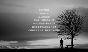 青海湖油菜花什么時候開_青海湖油菜花幾月份開