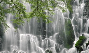 2025年盲盒十大品牌排行榜-盲盒品牌前十有哪些