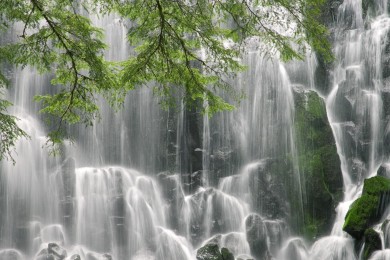 2024年品牌洗衣粉排行榜10強