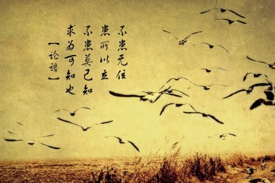  十大名牌智能馬桶_排行前10名智能馬桶