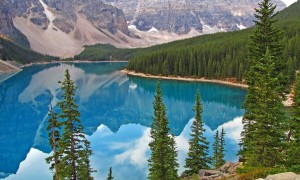 十大布洛芬品牌-布洛芬緩釋膠囊_布洛芬片品牌