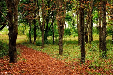 小眾又不貴的女裝品牌加盟，如何選擇合適的品牌？