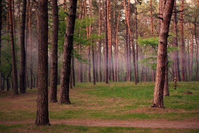 揭露興趣班智商稅：家長如何避免高價低效課程陷阱