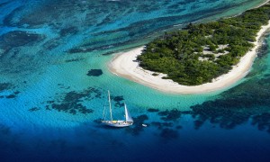 羊奶粉的熱量究竟比牛奶粉高嗎？