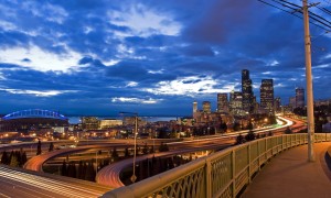 字母圈k9是什么意思啊_字母圈如何調小狗