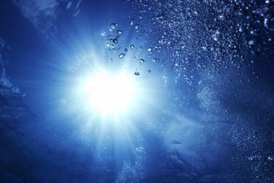 日本納豆激酶十大品牌排行榜_日本納豆激酶品牌排名_日本納豆激酶品牌排行榜