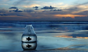 匯滋力有機奶粉怎么樣？它真的適合每個家庭嗎？