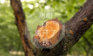 全自動食品安全檢測儀常見的維修保養(yǎng)攻略