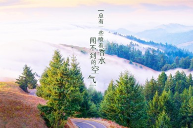 青島旅游線路_青島行程安排