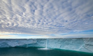 奶粉十強中，哪款奶粉最值得信賴？