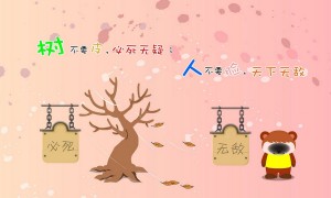 哪幾個星月菩提品牌好？品牌星月菩提推薦