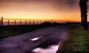 陽坪奶粉：寶寶健康成長的優質選擇