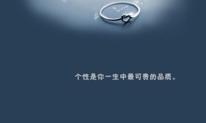 LEBOSH.雷玻視品牌_雷玻視牌子口碑_LEBOSH實力檔次排名