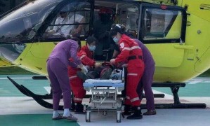 廣東一市民在公園突遭馬蜂圍襲，直升機救援10分鐘送醫！近期高發，緊急提醒→