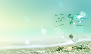 2025-2030年中國整理架行業市場分析及發展前景預測報告