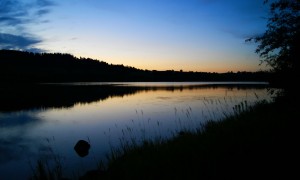 七個月寶寶每天應該吃多少奶粉？