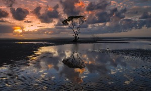 維他型豆奶粉是否真的比普通豆奶粉更有營養？