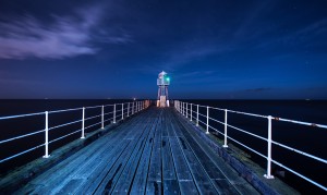 寵物羊奶粉排行榜10強中，哪款最適合我的寵物？