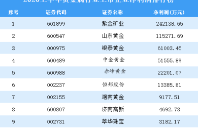 2024年貴金屬行業前景分析：全球貴金屬行業發展趨勢瞬息萬變