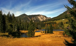 寶寶多久喝一次奶粉？科學(xué)喂養(yǎng)的黃金法則