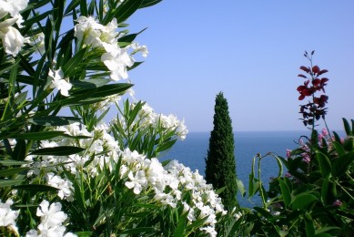 日本十大追劇網站_日本電影網站推薦_日本影視網站大全