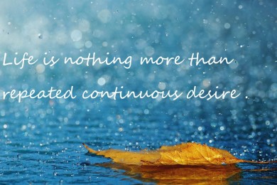 抱枕哪個品牌好？品牌抱枕推薦