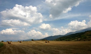 英雄奶粉真的能為寶寶提供全面的營養支持嗎？