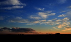 三鹿奶粉是什么？——揭開嬰幼兒奶粉背后的真相