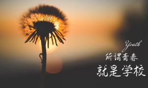 寧波國盛（中豪）電器有限公司Ningbo_Golden_Age_Electric_Co.,_Ltd_|_Ningbo_Zhonghao_Electric_Co.,_Ltd